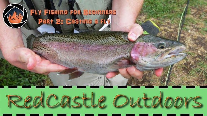 How to Fly Fish- Beginner Fly Casting 