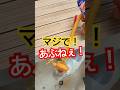 【業者泣かせ】4月中にやれ!夏本番は手遅れ "Hot to Cold in 60 Seconds! 68°F ➡️ 55.04°F Suzuki DA65T AC Fix"