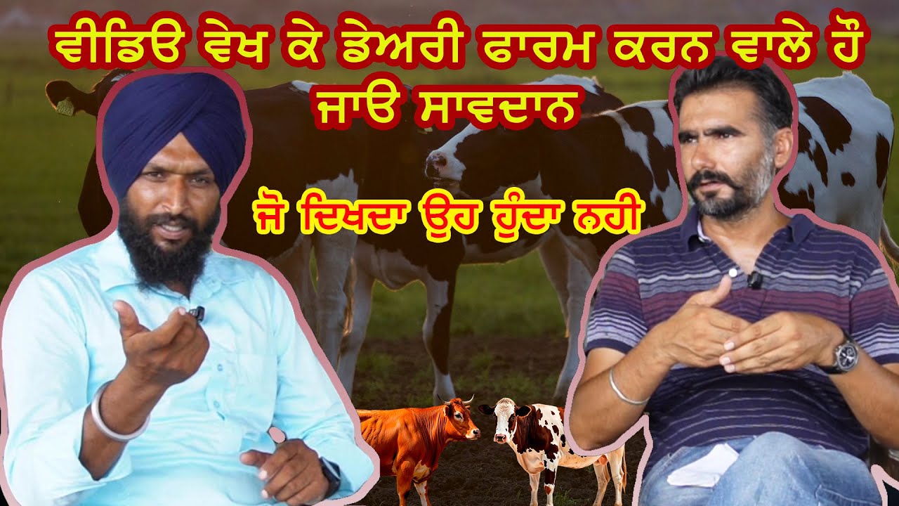 How To Start Dairy Farm in 2025! dairy farm! Dairy farm business! #dairy #farming