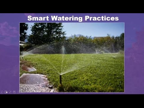 Smart Watering Practices