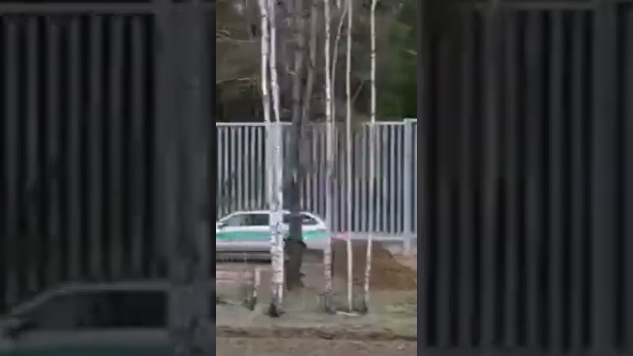 Польша построила на границе с Беларусью 50 километров забора высотой около 5 м и уже зафиксированы п