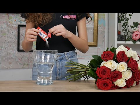 Video: Cum Să Păstrați Trandafirii Tăiați Mai Mult Timp