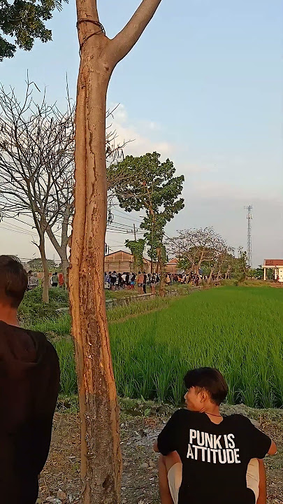 Kericuhan penonton saat kesenian jaranan di Ds.Karangmojo Kec.Plandaan - Jombang 2024 part 1