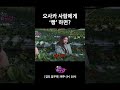 걸그룹 버전 오사카 사람에게 빵 하면 걸그룹 버전 오사카 사람에게 빵 하면