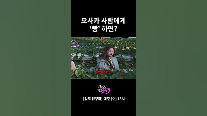 걸그룹 버전 오사카 사람에게 '빵'하면?