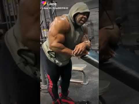 حبايب قلبي نورت الفيديو 