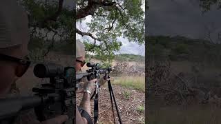 Zev tech Holosun Optics Bog Bipod 650 meters Steal Target