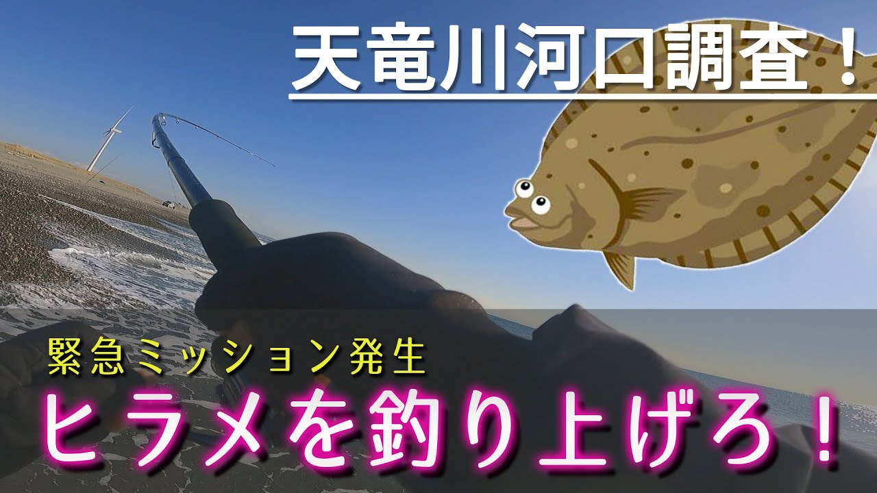 天 竜川 河口 釣果