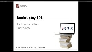 Bankruptcy 101: Bankruptcy Basics