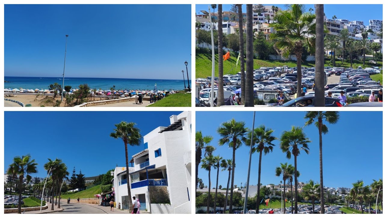 فلوك شاطئ كابونيكرو (الرأس الأسود) 