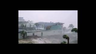 hurricane PSA final