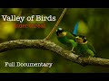 Valley of birds under threat full movie  nature documentary