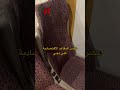 جربت الدرجة الأولى في قطار الحرمين السريع فخااامة 