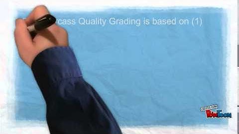 beef quality grading