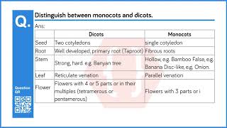 Distinguish between monocots and dicots. | Classification of Plants. | Science and Technology