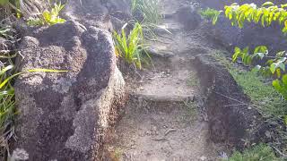 Dans Gallas nature trail. #2