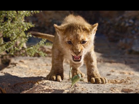 The Lion King Download Hindi Dubbed Hollywood Movie Hd 300mb Updatednewsreport Com