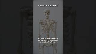 Bones Stronger Than Steel? You Won't Believe This Fact!