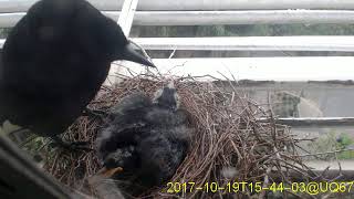 20171019T1530~1600