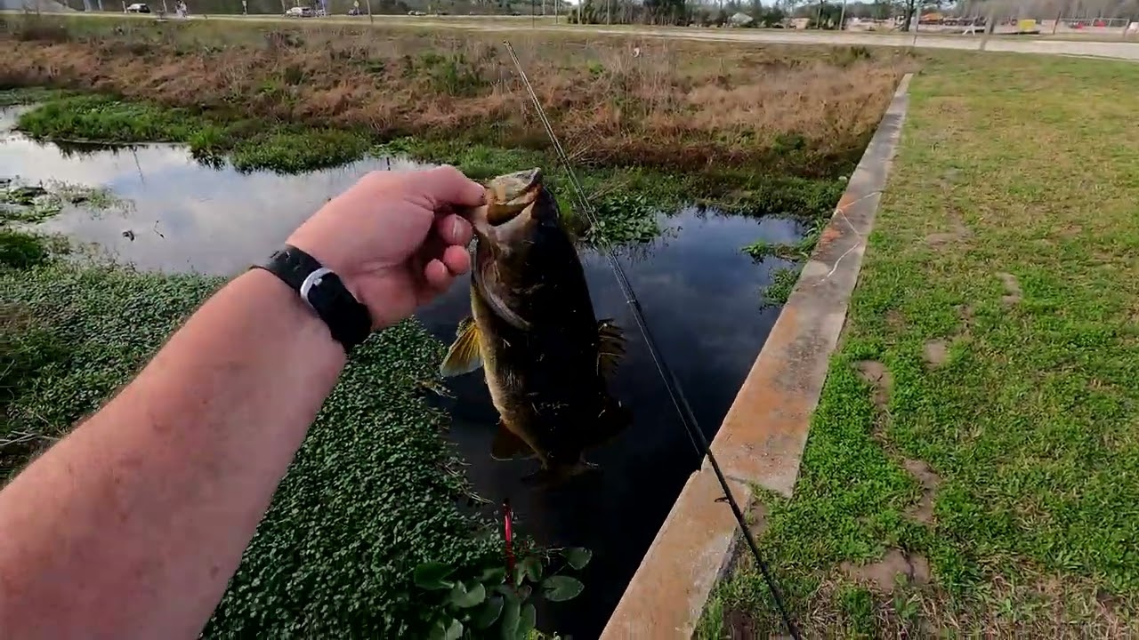 Bass Fishing Streams!