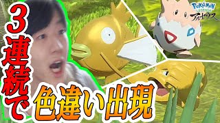 1日で色違いが連続3体出た男のリアクション ポケモンレジェンズアルセウス Pokemon Legends アルセウス コイキング トゲピー イシツブテ しろーん 大量発生 Youtube 1日で色違いが連続3体出た男のリアクション ポケモンレジェンズアルセウス Pokemon Legends アルセウス コイキング トゲピー イシツブテ しろーん 大量発生 Youtube