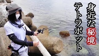 Japanese special fishing