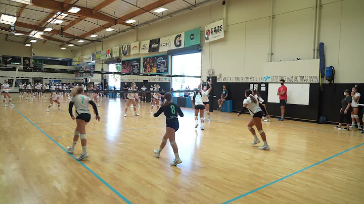 Sarah Ybarra #12 Setter/Oppo/Outs...  Hitter, Clas...