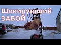 Забой / Свиньи уезжают на новогодний стол