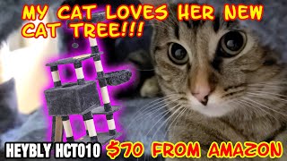 Meko Kitty's New Cat Tree from Amazon by Heybly for Cats and Kittens.