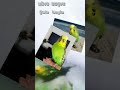 Tick Cik Çak MV Tick Cik Çak MV