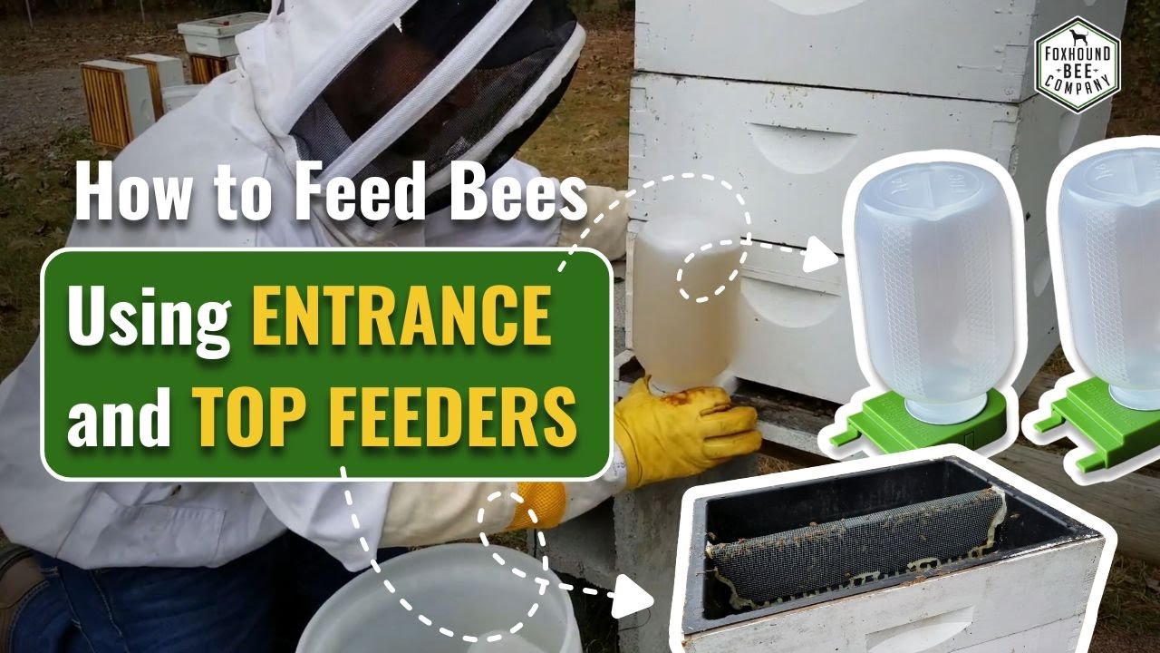 KEILEOHO 12 Pack 5.5 Inches X 3.15 Inches Bee Feeder Honey Bee Beehive Front Entrance Feeder Bee Drinking Equipment With Lids For Professional Beekeeper Or Beginner Feeding Sugar Syrup Or Water - View #2