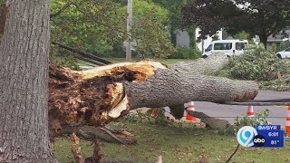 Seneca Falls storm clean up