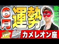 【ゲッターズ飯田】6月の運勢!! 運気を下げたくない人は絶対見て【金のカメレオン座・銀のカメレオン座】