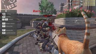 SF2 Cat Gun