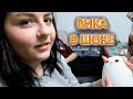 VLOG Распаковываем подарки от подписчиков