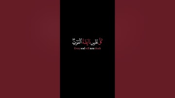 كل نفس ذائقه الموت كروما شاشه سوداء القارئ عبد الرحمن مسعد