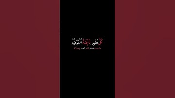 كل نفس ذائقه الموت كروما شاشه سوداء القارئ عبد الرحمن مسعد