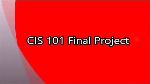 Pace University CIS 101 Final Project