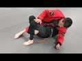 Jean jacques machado rolling with brown belt student