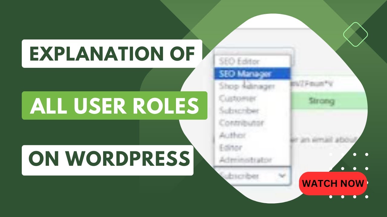 Explanation of all user roles on WordPress & how to add users