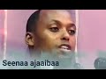 Shekh Jamaal Aliyyii Seena Ajaiba Tana Dhagefadha Dhuguma Jirtu Wanti Tuni Shekh Jamaal Aliyyii Seena Ajaiba Tana Dhagefadha Dhuguma Jirtu Wanti Tuni