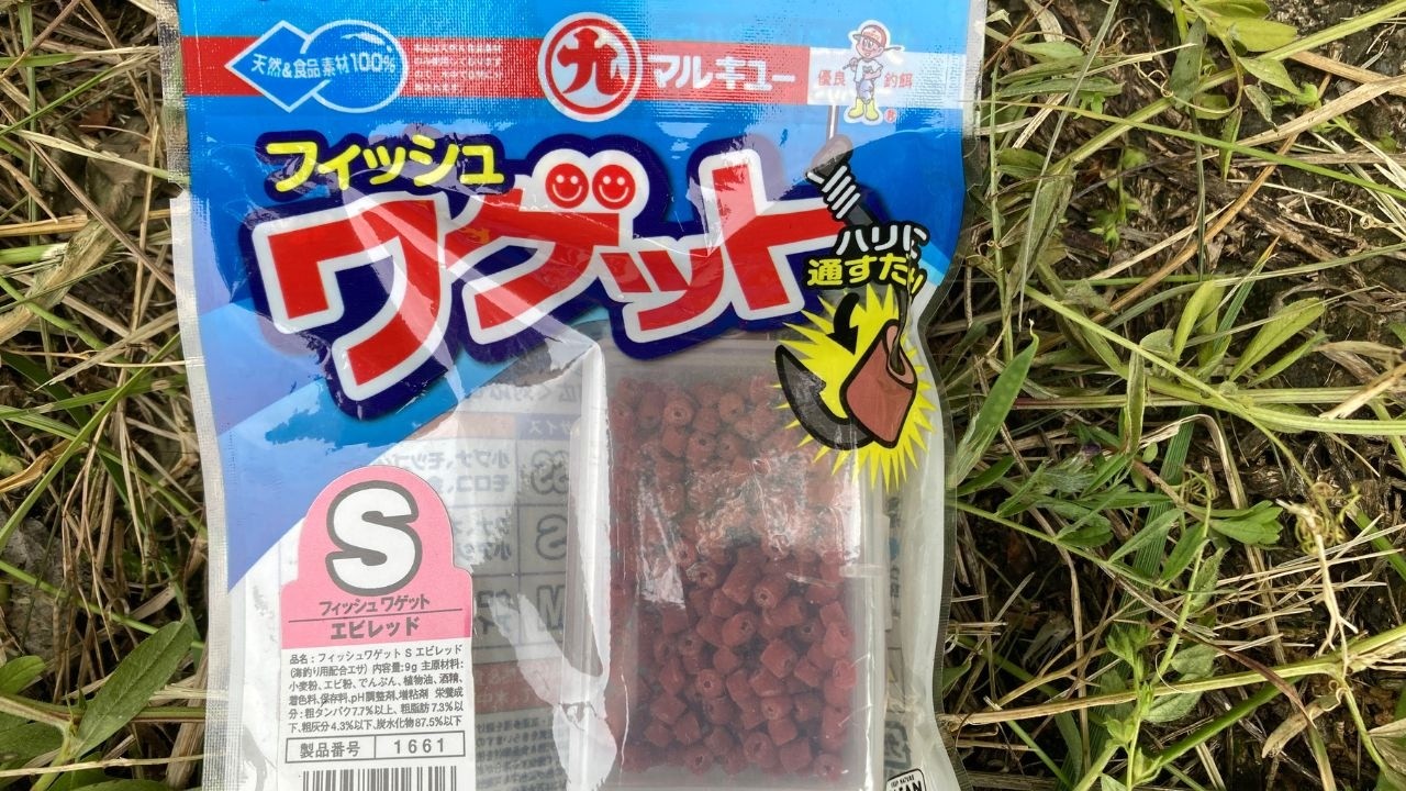 Mitsuki　魚の餌 釣り餌「ワゲット」を使って魚釣り - YouTube