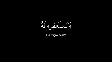 كروما قرآن شاشه سوداء | القارئ عبدالرحمن مسعد - من سورة المائدة