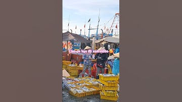 Hàng chục tấn cá tươi về chợ cảng Lagi Bình Thuận.  #shorts #trending #foodmarket #haisannuong