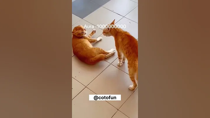 #funnyanimals #foryou #funnyshorts #LL