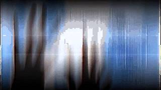 Zigani Non Sono Solo