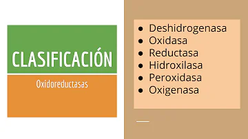 ¿Cuáles son las funciones de óxido reductasa?