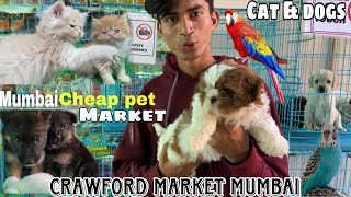 Mumbai cheap pet 🦮 market 2024 | exotic pets market in mumbai | Crawford market mumbai 2024|