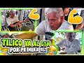 VA POR PRIMERA VEZ AL GYM | tilico a sus 62 años hace ejercicio ( patron neto)