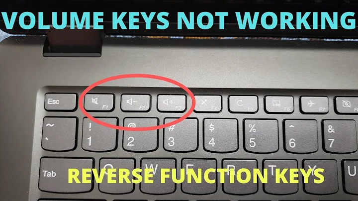 Volume Button Not Working - Reverse Function Keys and Multimedia Keys (F1-F12)